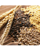 Granos, Cereales y Semillas